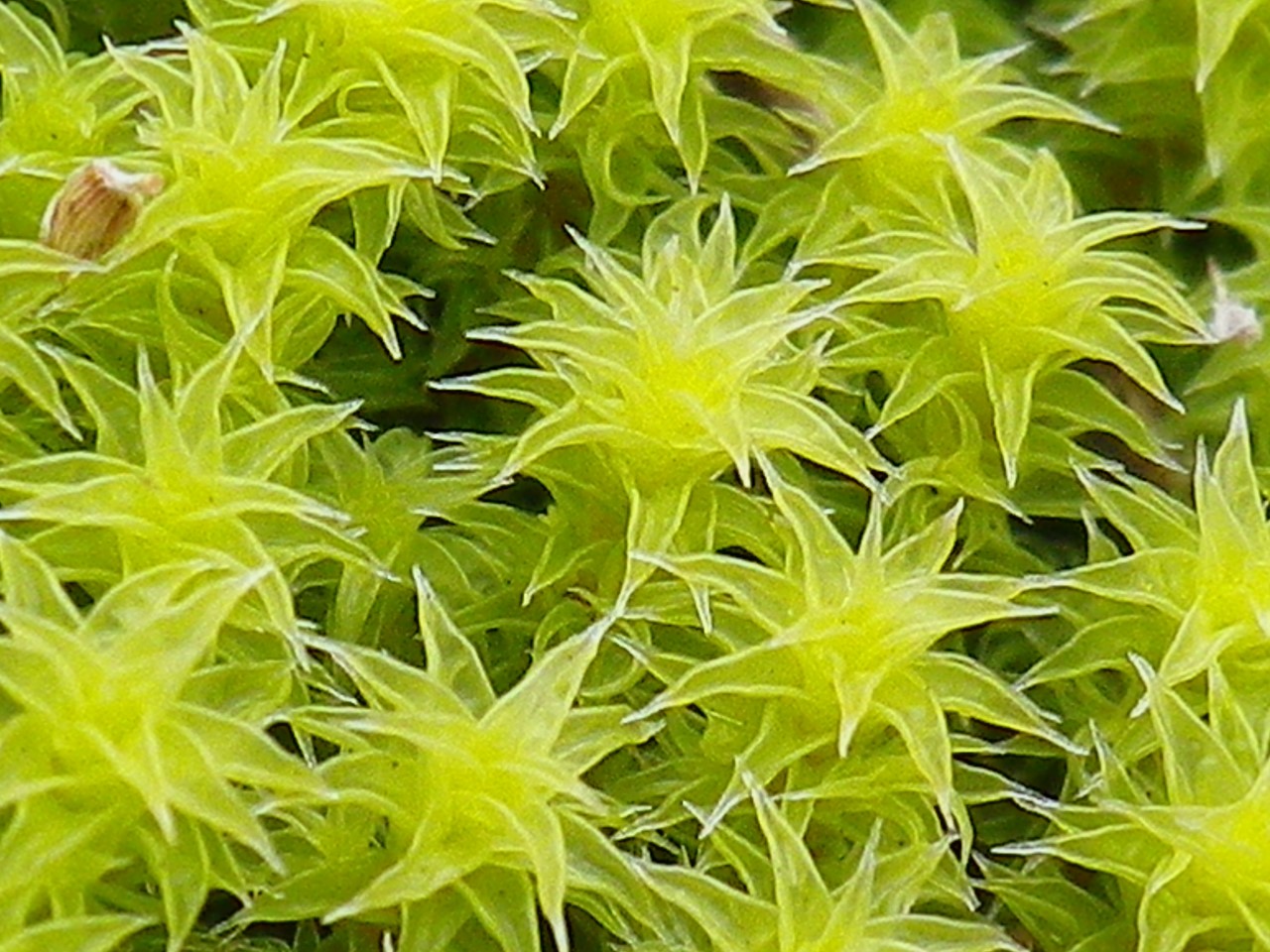 d0054276_20192667.jpg
