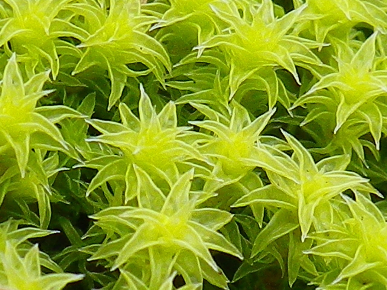 d0054276_20193728.jpg