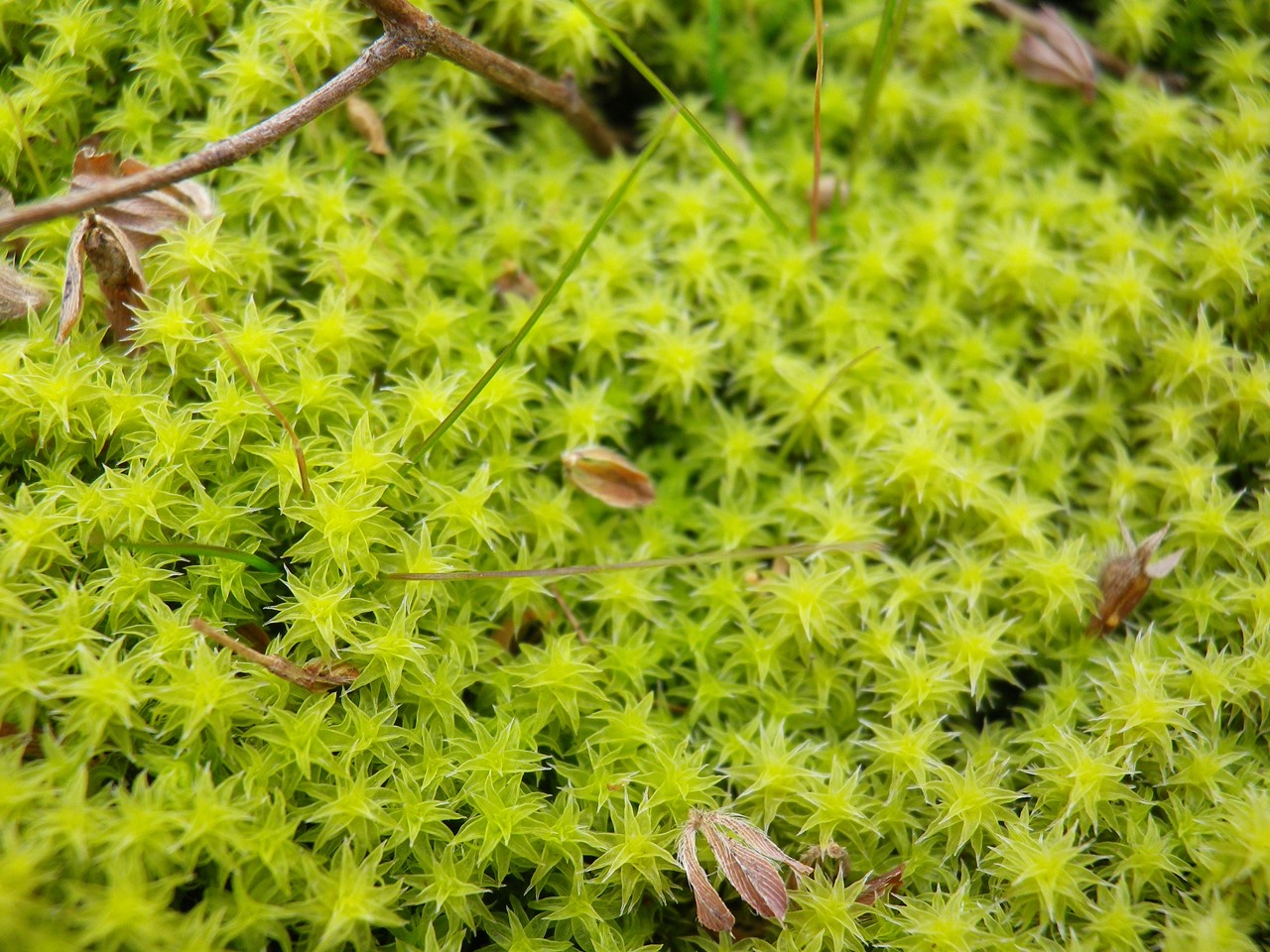 d0054276_2019488.jpg