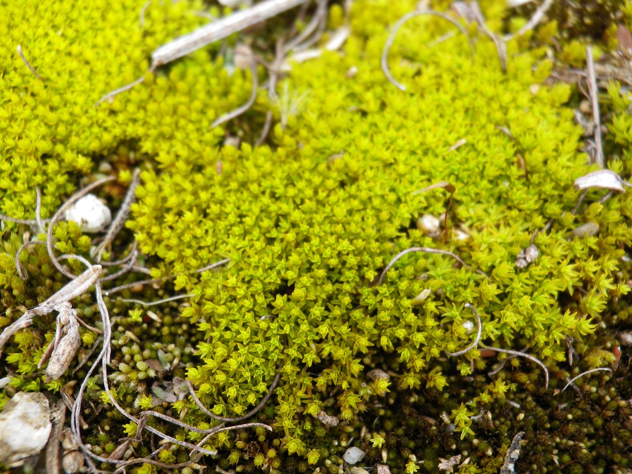 d0054276_20195851.jpg