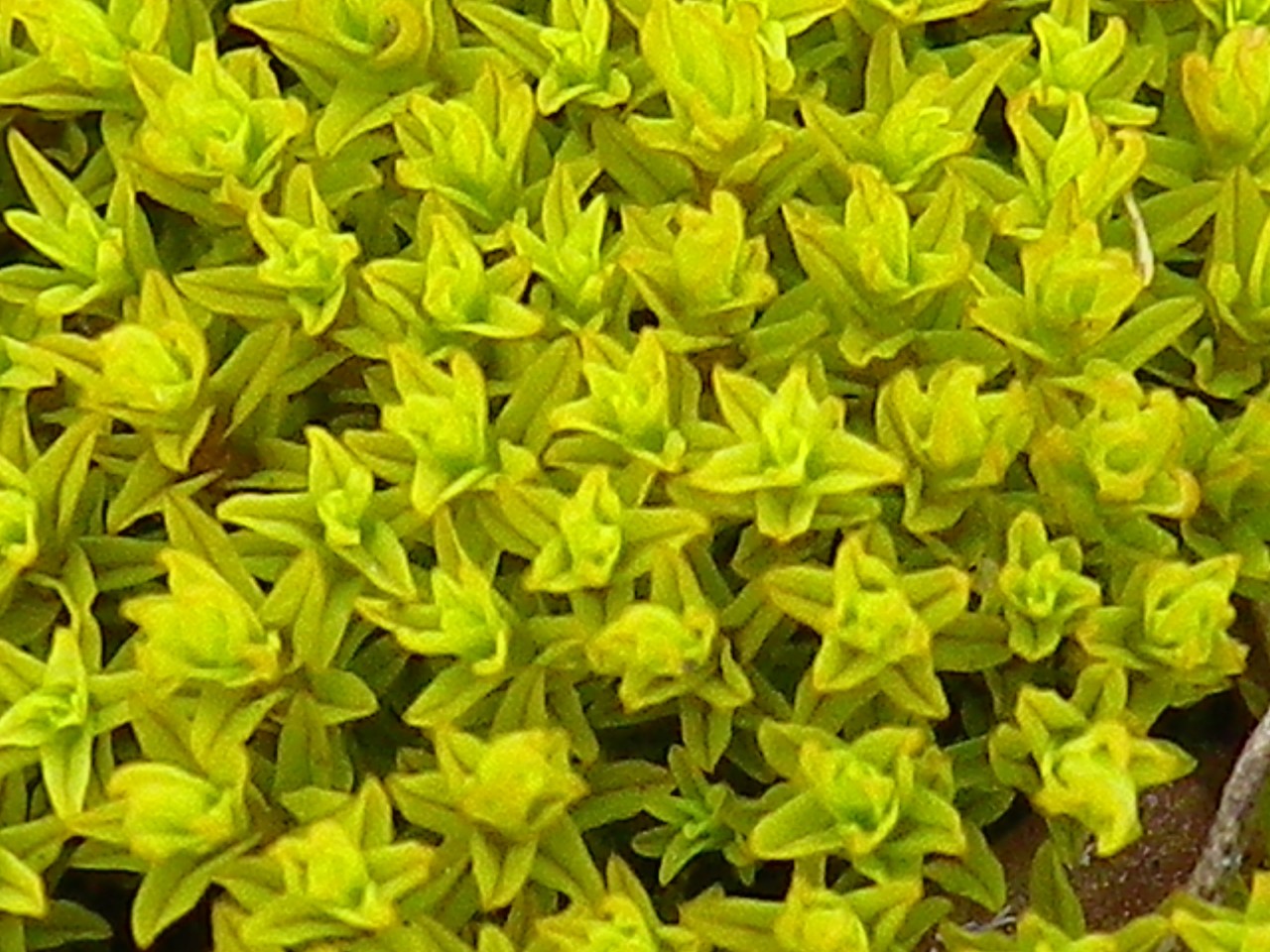 d0054276_20211422.jpg