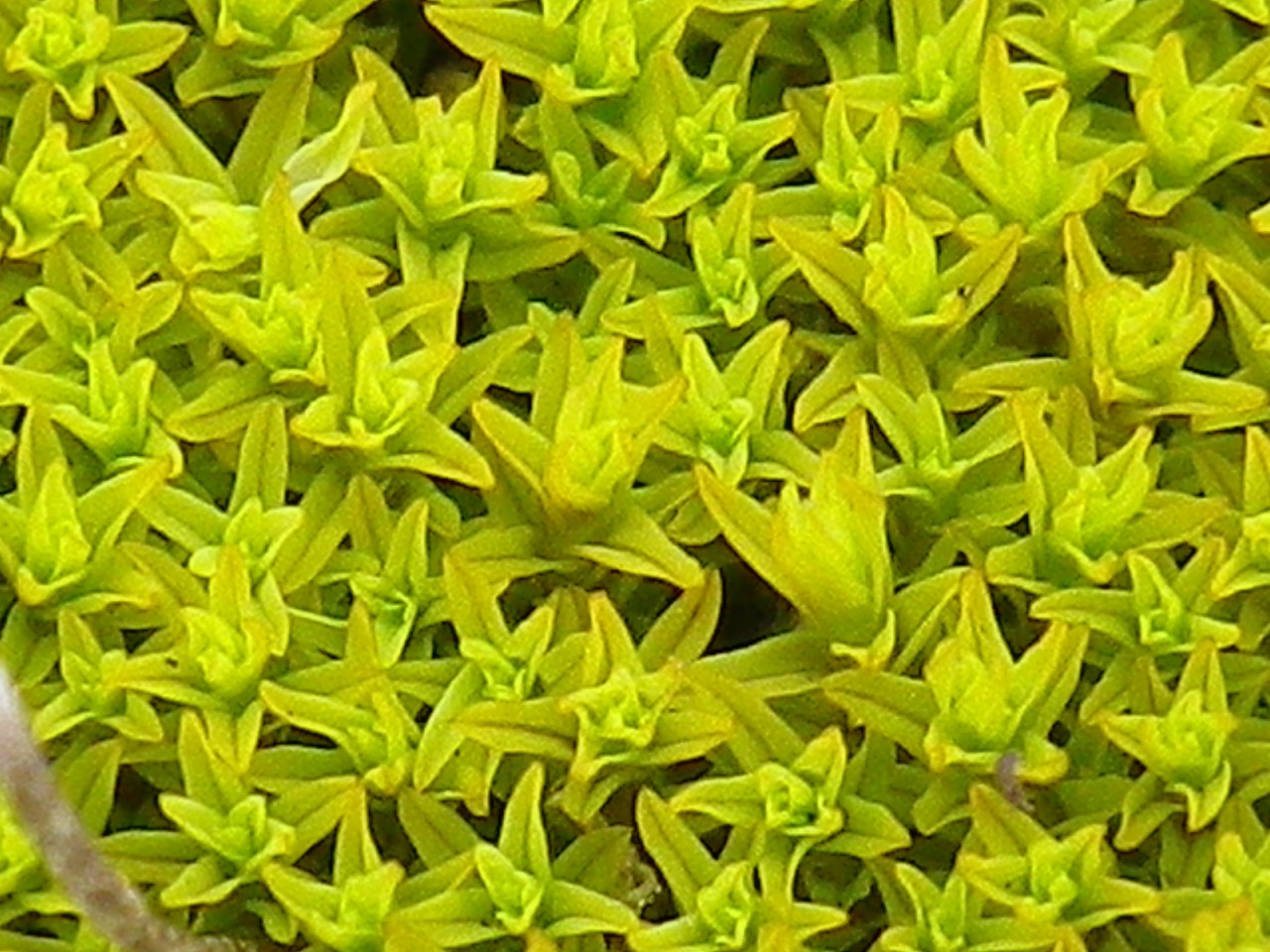d0054276_20212428.jpg