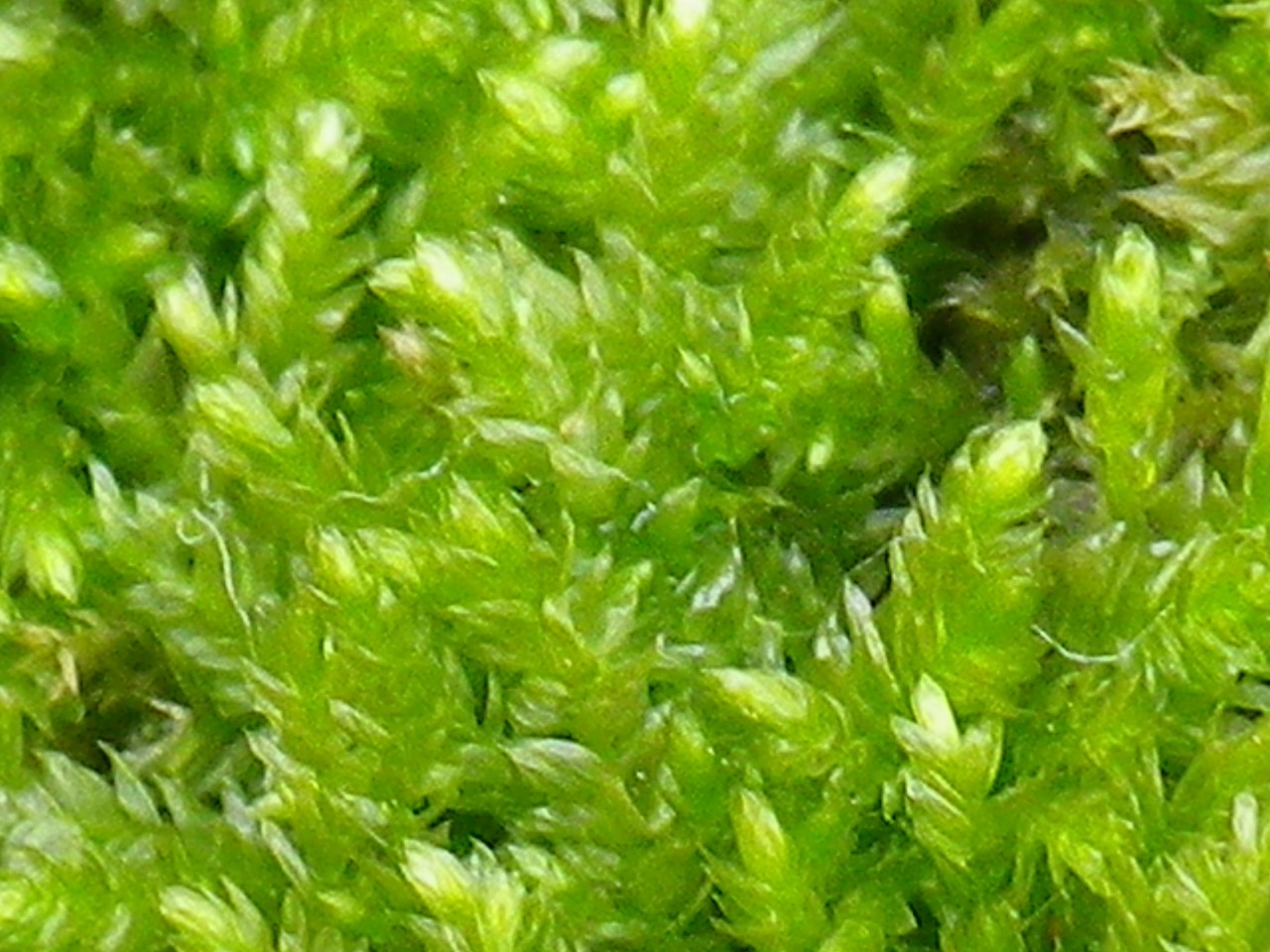 d0054276_2021452.jpg
