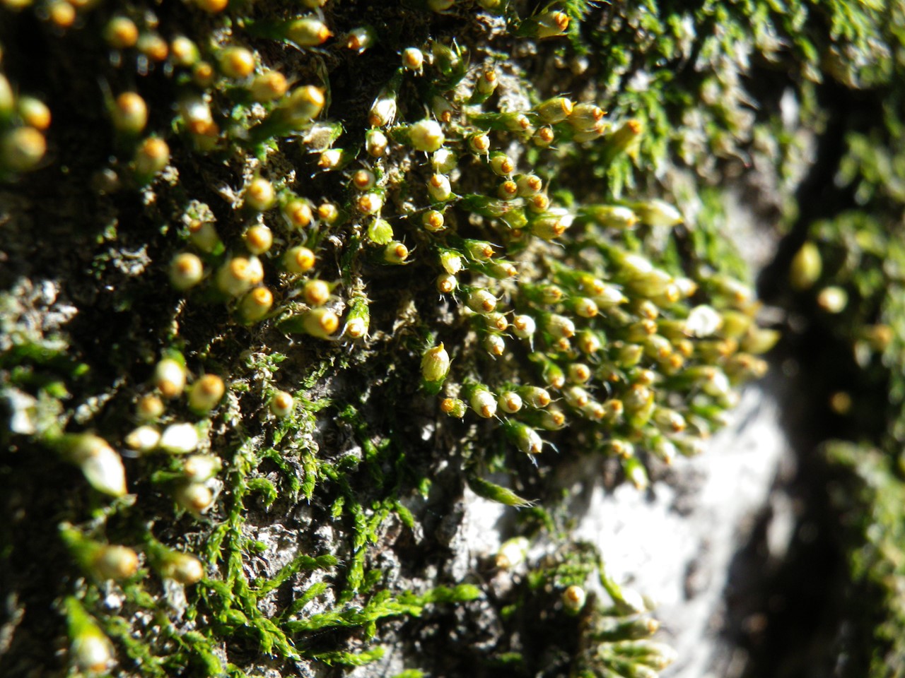 d0054276_20224593.jpg