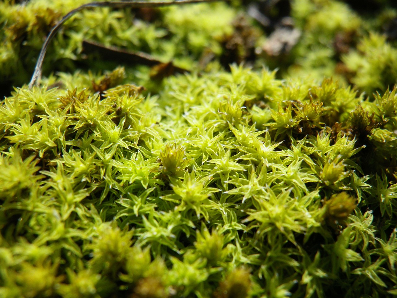 d0054276_2022851.jpg