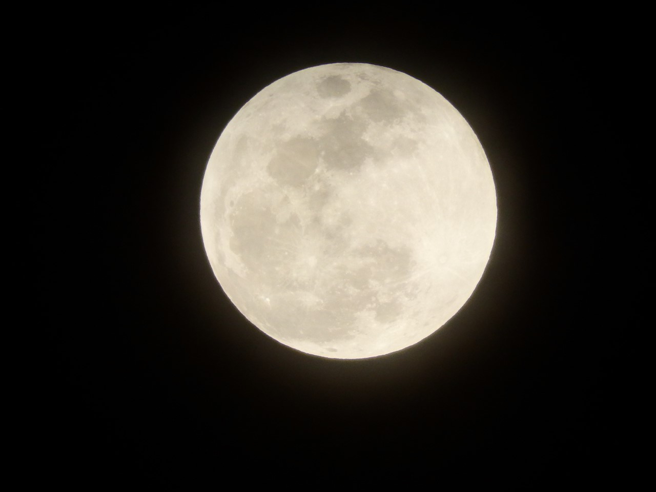 d0054276_2024524.jpg