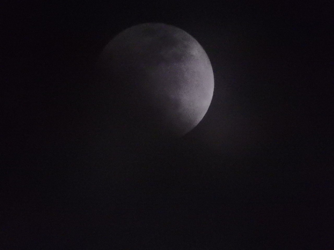 d0054276_20245923.jpg