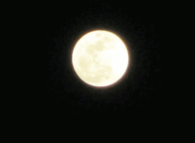 d0356076_10390103.gif