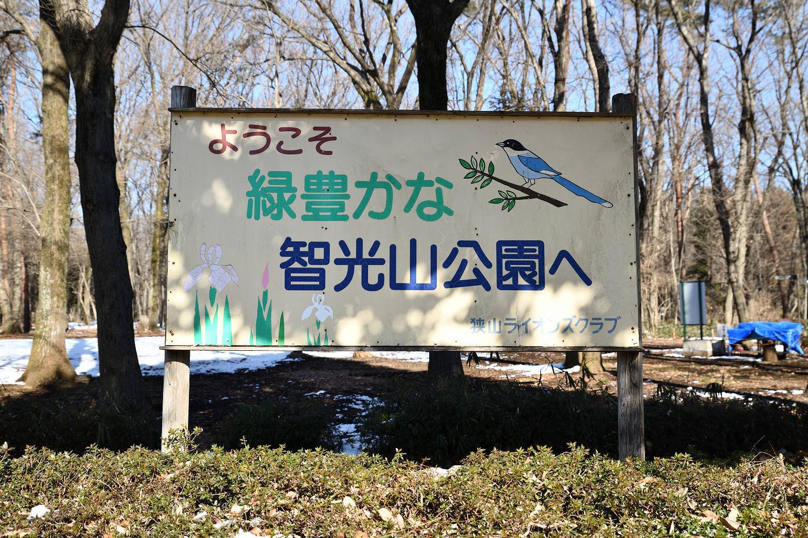 d0328977_20161135.jpg