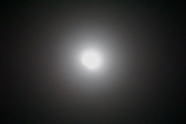 b0057679_08071191.jpg