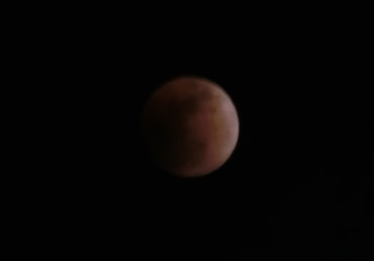 d0142282_00351860.jpg