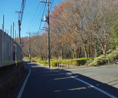 b0123486_11342885.jpg