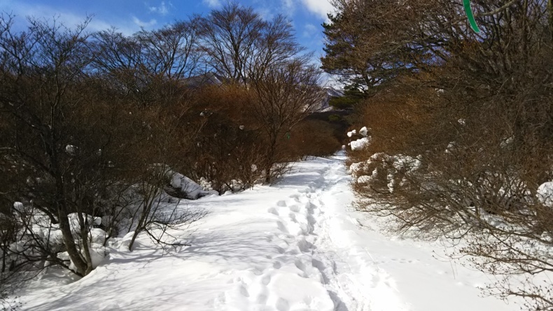 雪原をスノーシュー散歩_a0011690_21263462.jpg