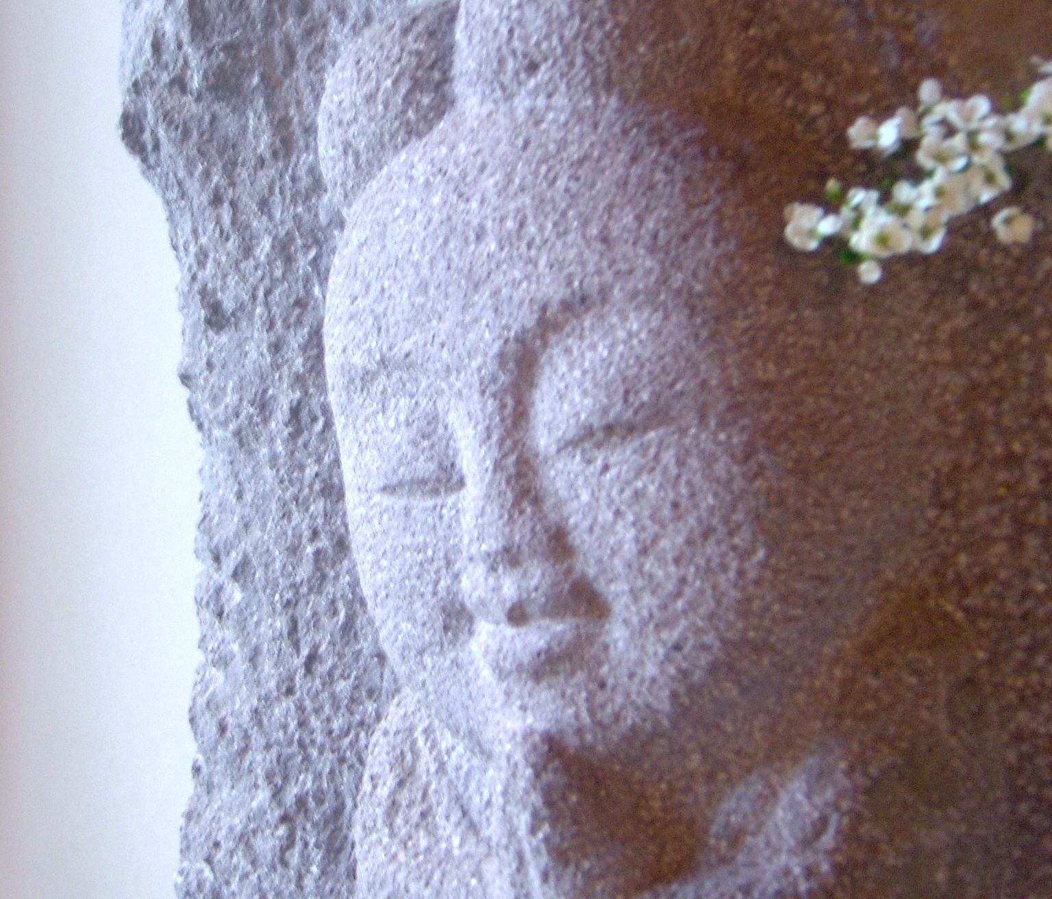 d0212491_07347.jpg