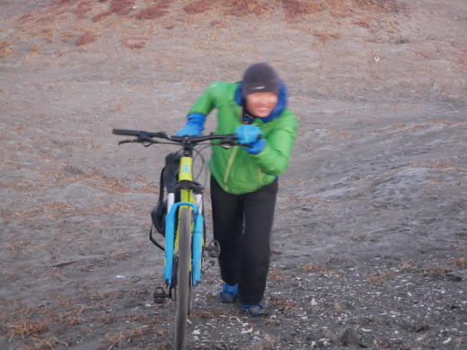 b0074992_15585589.jpeg