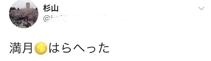 b0074992_16252612.jpeg