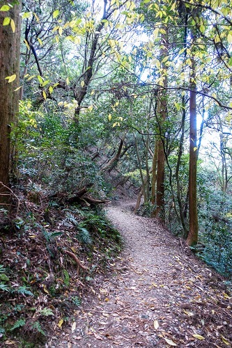 e0176993_07380160.jpg