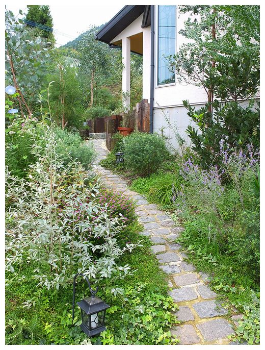 Aさま宅ガーデン 2年が経ちました Natu 素敵なナチュラルガーデンから 福岡で庭造り 外構工事 エクステリア をしてます