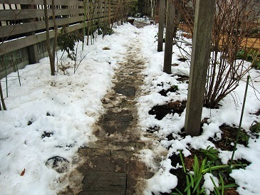 c0117898_12301321.jpg