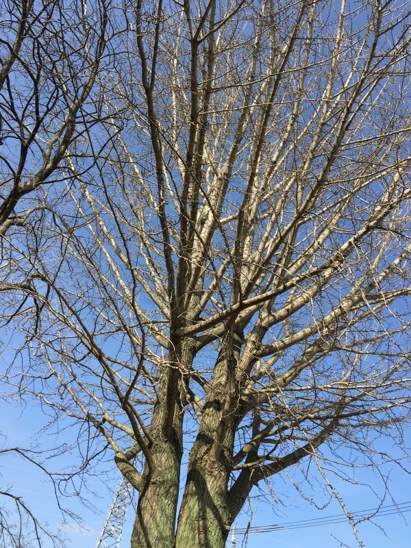 b0220002_17082900.jpeg