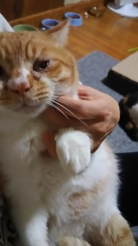 【移動先募集】ジャックとスパロウ_f0242002_00115042.jpg