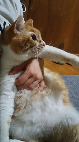 【移動先募集】ジャックとスパロウ_f0242002_00115984.jpg