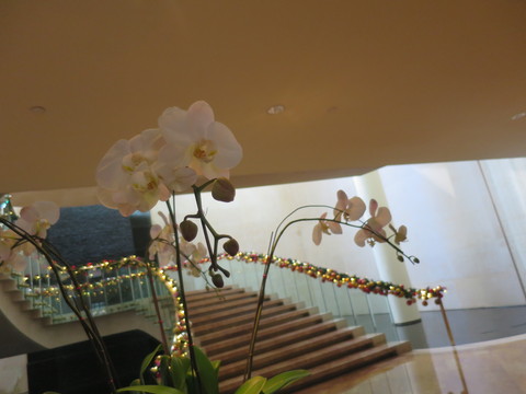 c0212604_7183813.jpg