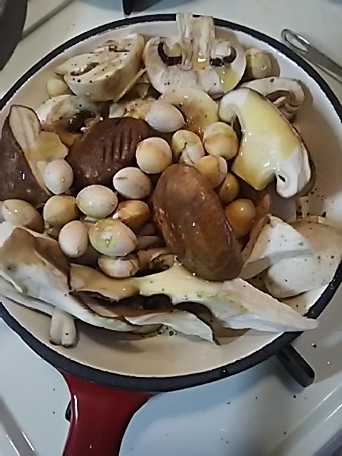 テキトーアヒージョ風とゴマ摺り団子_f0316507_17503533.jpg