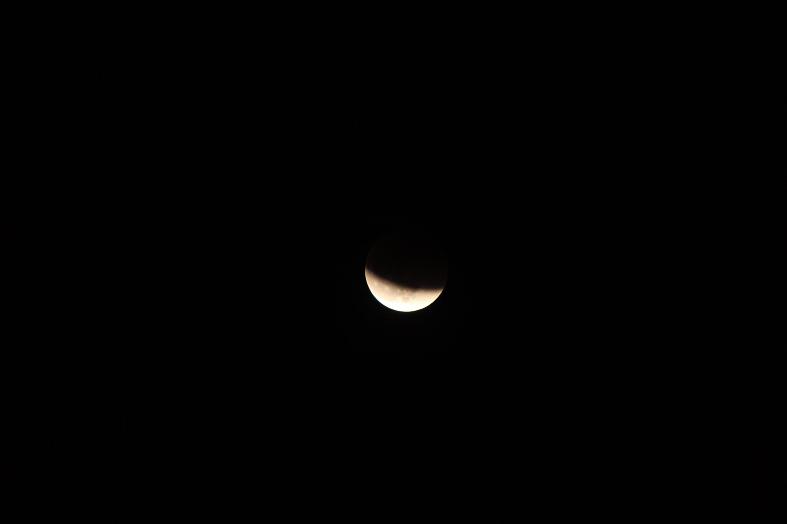 b0176010_13482401.jpg