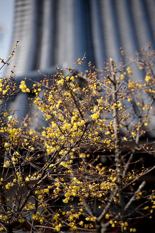f0032011_21304847.jpg