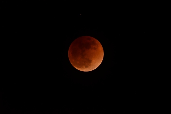 e0005714_20443833.jpg