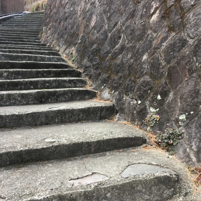 脚を鍛えておきたくて。。。_f0354014_16053142.jpg
