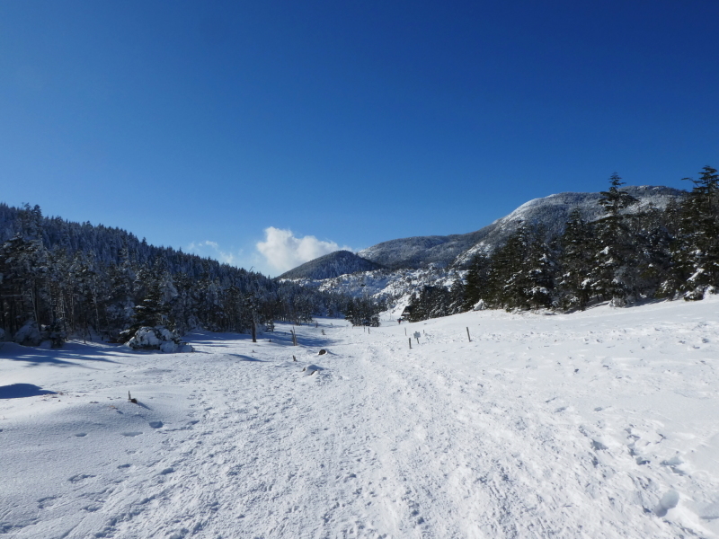 縞枯山 (2,403M)   下山 編_d0170615_16061931.jpg