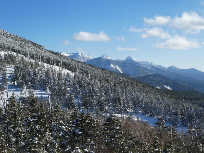 縞枯山 (2,403M)   下山 編_d0170615_16071733.jpg