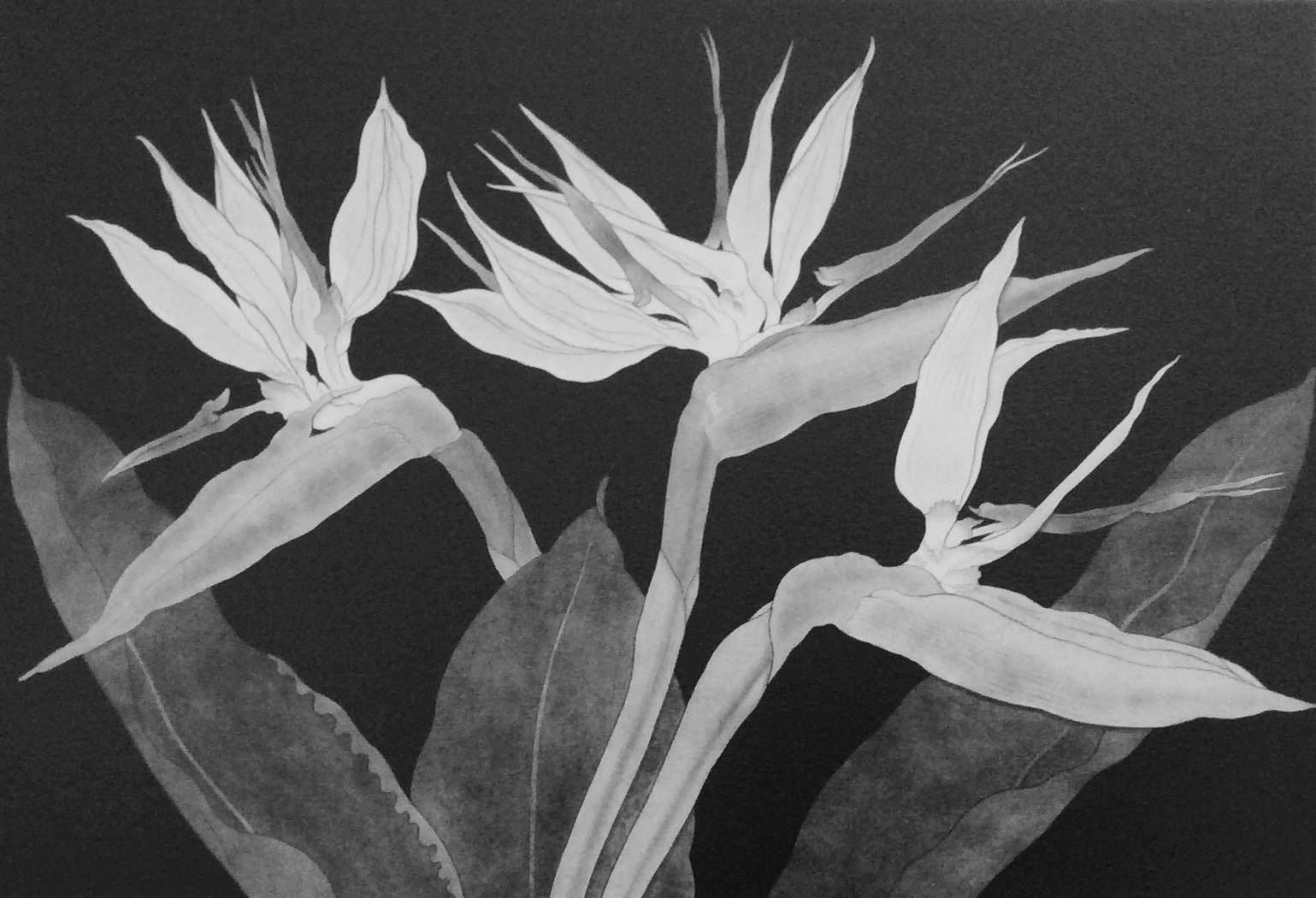 春 曙 2月のカレンダーより 風のとおる家から