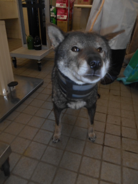 f0078320_01015888.jpg