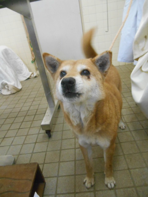 f0078320_01280055.jpg