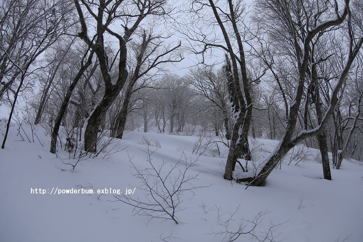b0062024_20121532.jpg