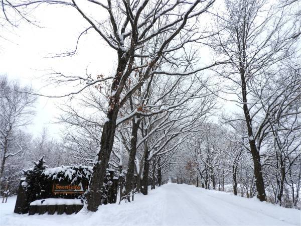 今週末の天気と気温（2月1週目）：積雪１５ｃｍほど。_b0174425_15085641.jpg