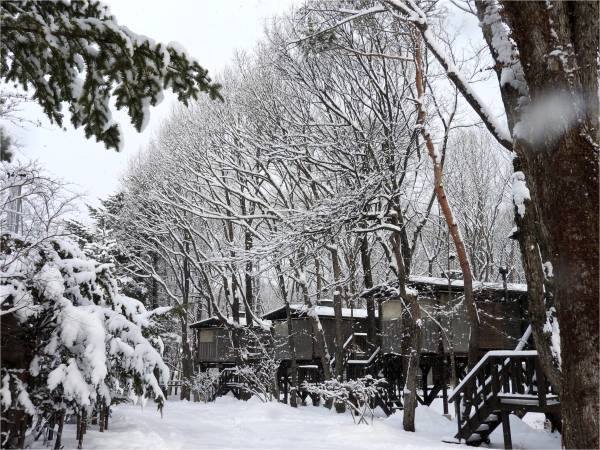 今週末の天気と気温（2月1週目）：積雪１５ｃｍほど。_b0174425_15343723.jpg