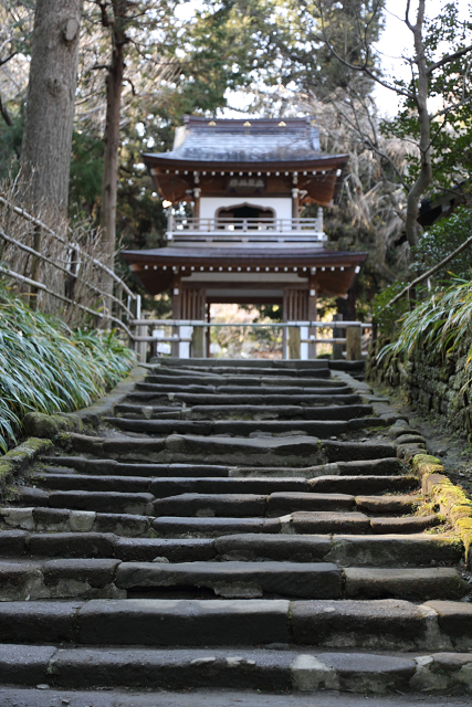 鎌倉散歩　#62 －早春の北鎌倉 浄智寺－ _b0169330_713623.jpg