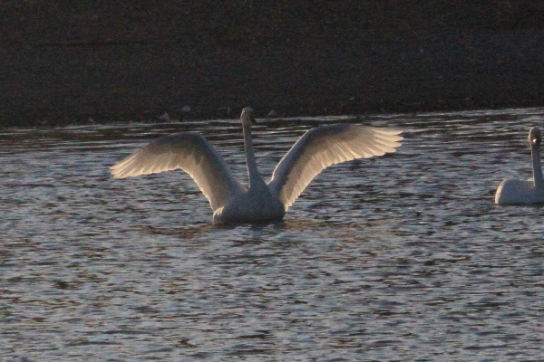 f0229832_10174341.jpg