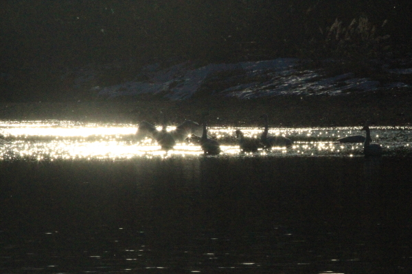 f0229832_10250616.jpg