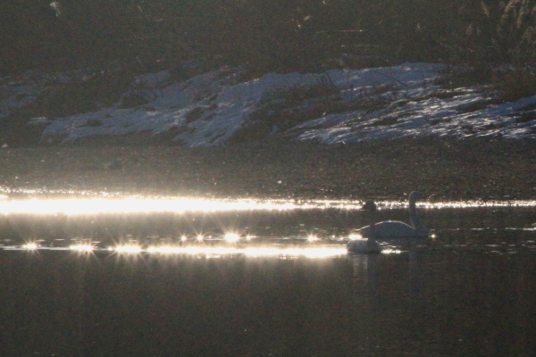 f0229832_10251340.jpg
