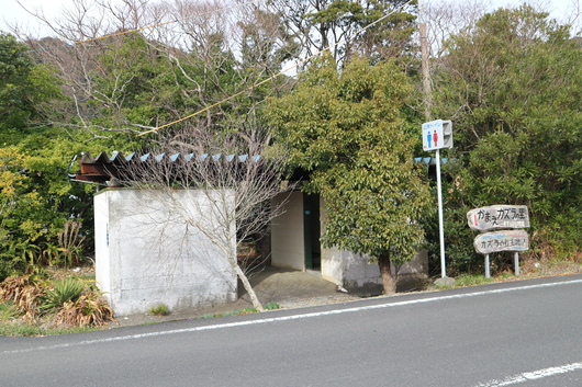 潮騒を聞きながらカマエカズラの群生地を歩く＆遠見山！_e0272335_19304330.jpg