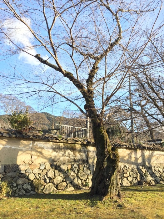 d0282139_22321042.jpeg