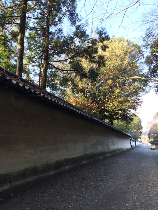 d0282139_22325200.jpeg