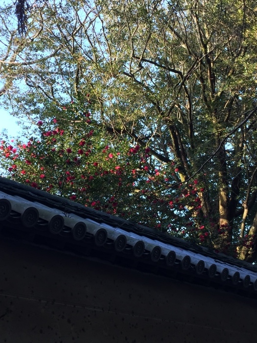 d0282139_22334576.jpeg