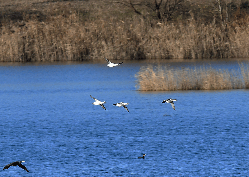 d0290240_19284138.gif