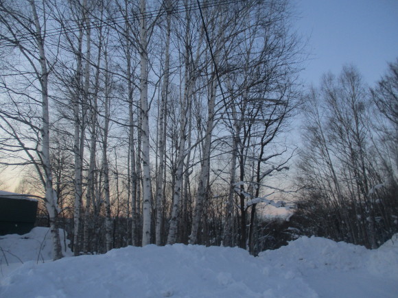 a0279743_07160670.jpg